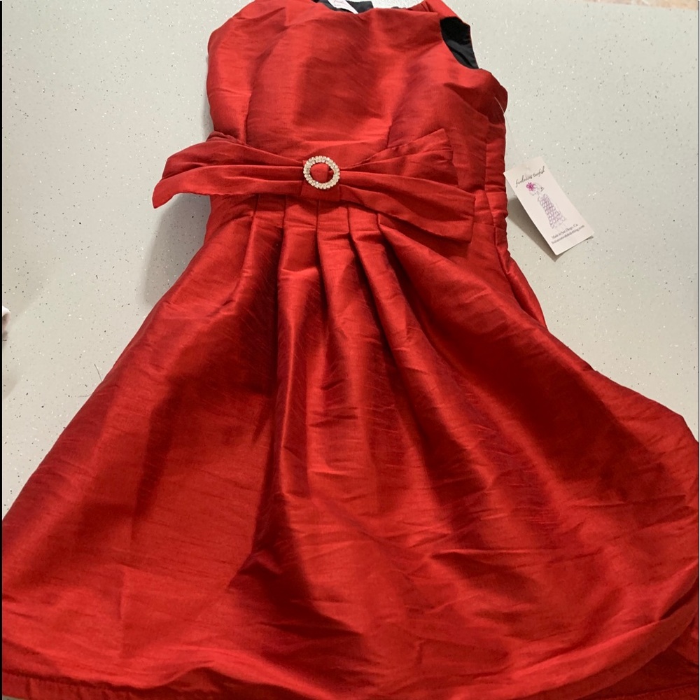 Beautiful taffeta holiday dress.